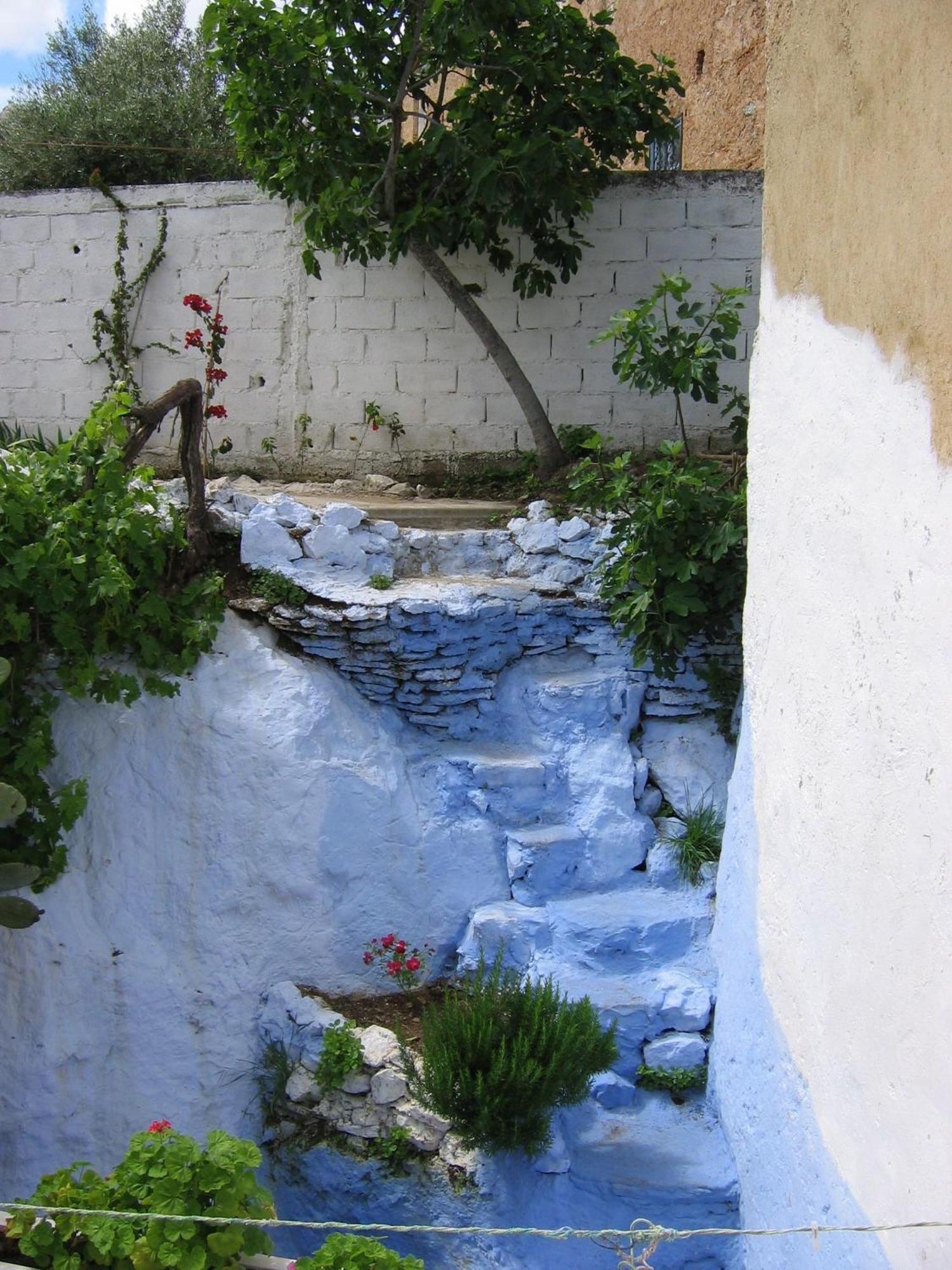 Dar Dalia Xauen